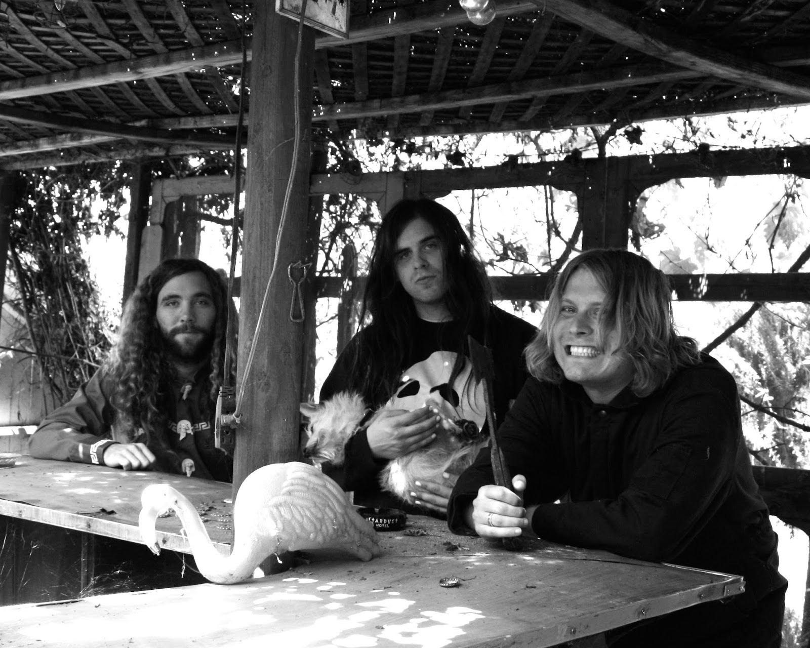 Fuzz_II_2_by_Denée_Petracek